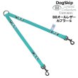 画像1: BB2頭引きオールレザーカプラーSサイズ ロビンズエッグブルー Robin’s Egg Blue Tiffurny 小型犬 ペット レザー 本革 BUDDYBELT バディベルト 犬用 バディーベルト正規輸入代理店 正規店 バディベルト バディーベルト卸販売 カナダ製 (1)