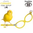 画像1: バディーベルト ハーネス 1号 カナリア（Canary） buddy-belts buddybelts (1)