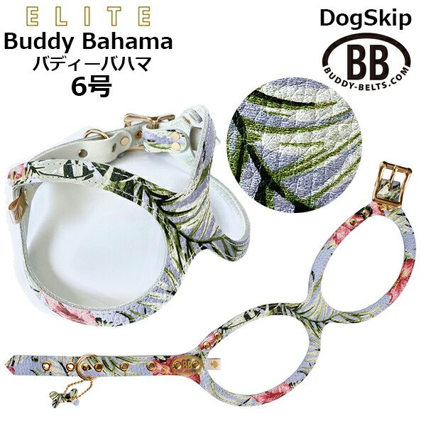 画像1: バディーベルト ハーネス 6号 バディーバハマ Buddy Bahama 中型犬 ペット レザー 本革 BUDDYBELT バディベルト 犬用 胴輪 リングハーネス メガネハーネス ボディベルト バディーベルト正規輸入代理店 正規店 (1)