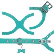 画像2: バディーベルト ハーネス 2.5号 ロビンズエッグブルー Robin's Egg Blue buddy-belts buddybelts バディーベルト卸販売 バディベルト卸販売 バディーベルト正規輸入代理店 正規店 (2)