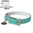 画像1: BB 首輪 ロビンズエッグブルー 3号 Robin's Egg Blue ID カラー バディーベルト buddybelt バディベルト (1)