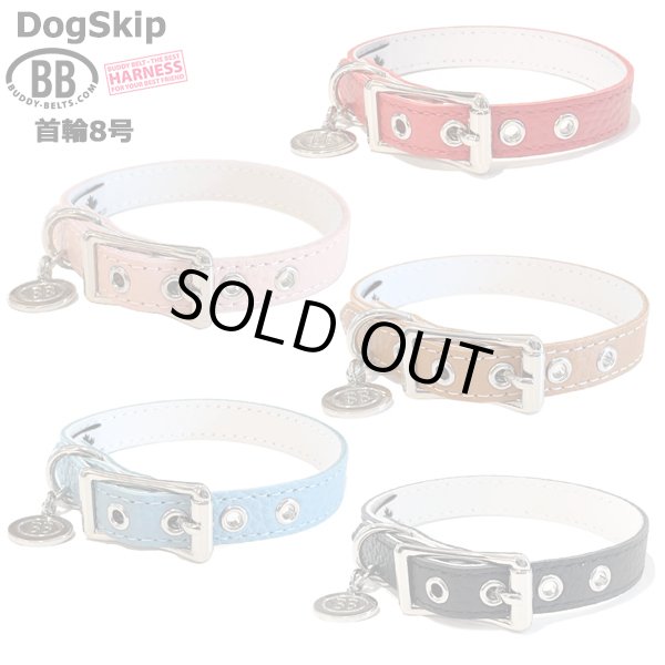 画像1: BB ID 首輪 8号 カラー バディーベルト buddybelt バディベルト Buddy Belts ID Collar (1)