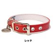 画像3: BB ID 首輪 4号 カラー バディーベルト buddybelt バディベルト Buddy Belts ID Collar (3)