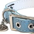 画像10: BB ID 首輪 4号 カラー バディーベルト buddybelt バディベルト Buddy Belts ID Collar (10)