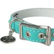 画像2: BB 首輪 ロビンズエッグブルー 5号 Robin's Egg Blue ID カラー バディーベルト buddybelt バディベルト (2)