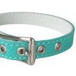 画像3: BB 首輪 ロビンズエッグブルー 4号 Robin's Egg Blue ID カラー バディーベルト buddybelt バディベルト (3)