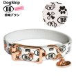 画像2: BB 首輪 ブラン 6号 Blanc ID カラー バディーベルト buddybelt バディベルト (2)