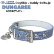 画像2: BB 首輪 ダンガリー 2号 Dungaree ID カラー バディーベルト buddybelt バディベルト (2)