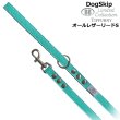 画像1: BBオールレザーリードSサイズ ロビンズエッグブルー Robin's Egg Blue バディベルト BUDDYBELT バディーベルト犬 犬用 ペット ドッグ リード バディーベルト正規輸入代理店 正規店 (1)