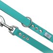 画像2: BBオールレザーリードLサイズ ロビンズエッグブルー Robin's Egg Blue バディベルト BUDDYBELT バディーベルト犬 犬用 ペット ドッグ リード バディーベルト正規輸入代理店 正規店 (2)