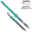 画像1: BBアクセントナイロンリードSサイズ ロビンズエッグブルー Robin's Egg Blue バディベルト BUDDYBELT バディーベルト犬 犬用 ペット ドッグ リード バディーベルト正規輸入代理店 正規店 (1)