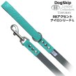 画像1: BBアクセントナイロンリードLサイズ ロビンズエッグブルー Robin's Egg Blue バディベルト BUDDYBELT バディーベルト犬 犬用 ペット ドッグ リード バディーベルト正規輸入代理店 正規店 (1)